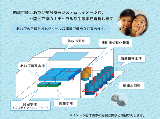 閉鎖型循環式陸上養殖システムイメージ図